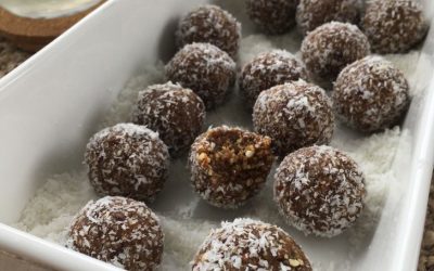 Blueberry Cake Bliss Balls